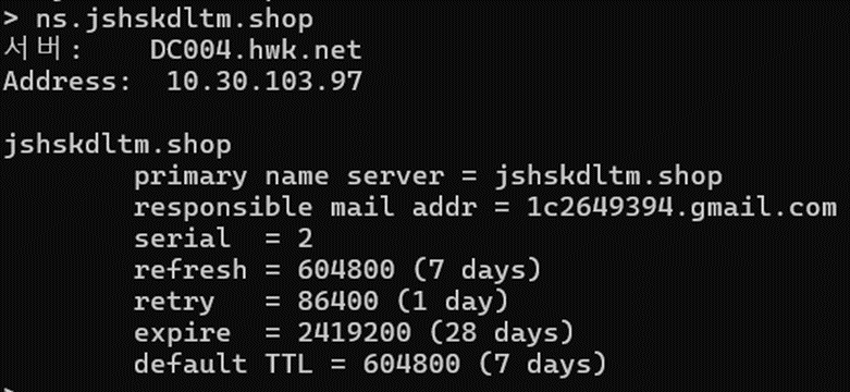 DNS nslookup 결과