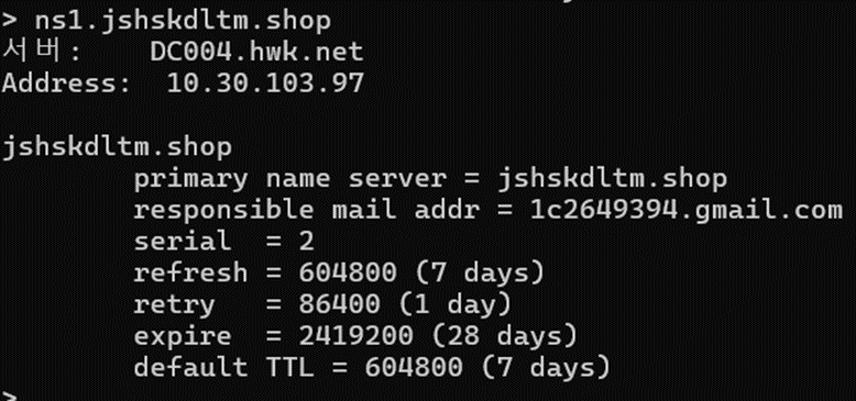 DNS 서버 외부 쿼리 테스트